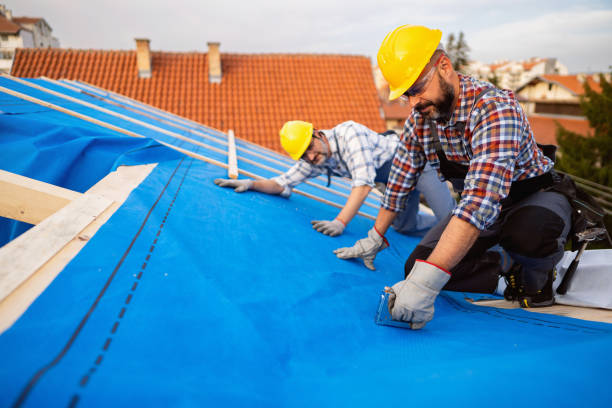 Best Metal Roofing Contractor  in Desloge, MO