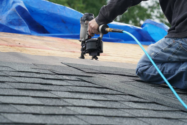 Best Roof Gutter Cleaning  in Desloge, MO